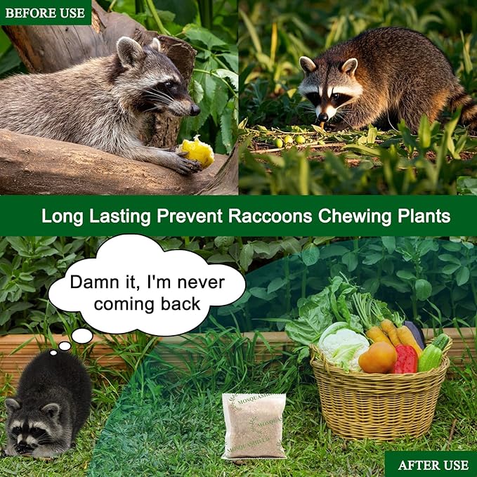 Natural Raccoon Repellent Granules | Eco-Friendly Non-Toxic &amp Long-Lasting Protection with Garlic Peppermint &amp Wintergreen Oils | Safe for Pets and Children |6-Pack (25g per Bag)
