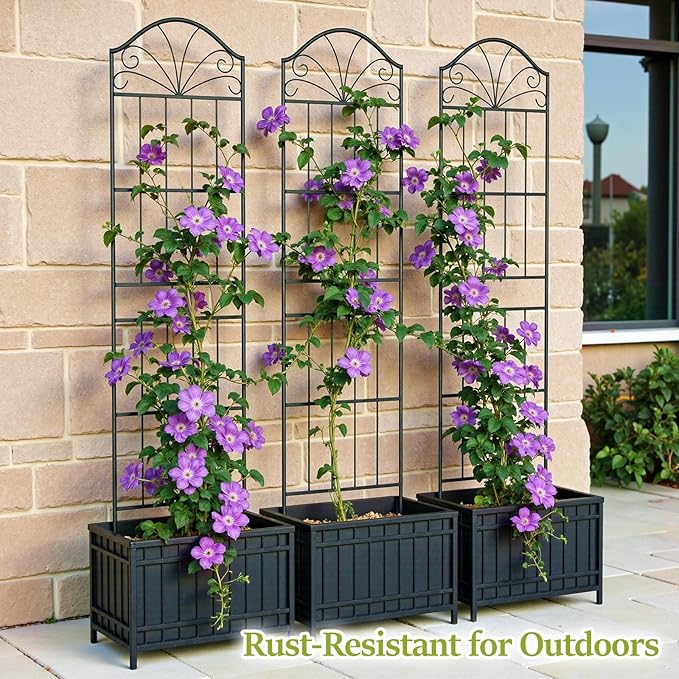 Metal Trellis for Climbing Plants Outdoor 70 * 19.7 Inch Tall Garden Trellis with Black Rustproof Coating Decorative Rose Trellis for Climbing Roses Vines and Flowers 2 Pack