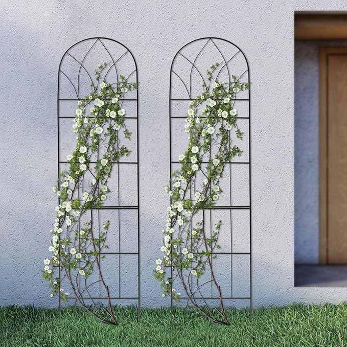 Garden Trellis for Climbing Plants Outdoor Arch Trellis for Climbing Plants