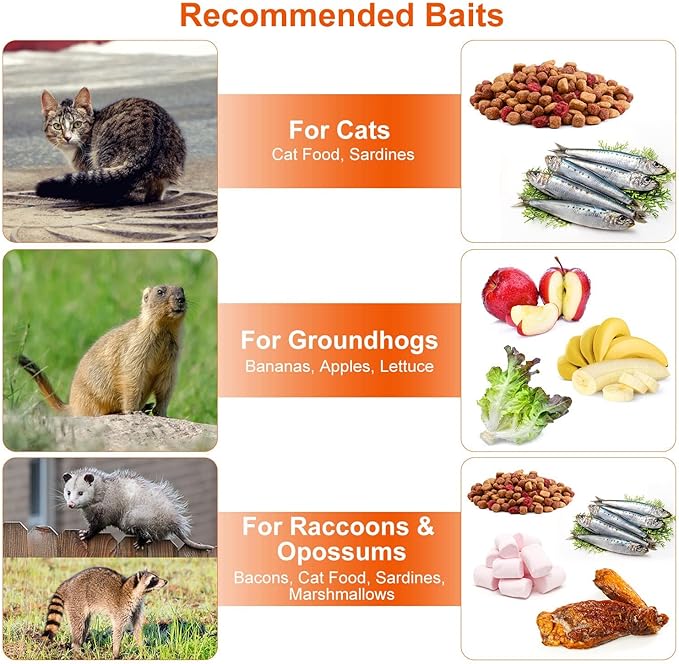 24” Humane Live Animal Trap Cage Heavy Duty Folding Catch and Release Rodent Trap for Squirrels Rabbits Stray Cats Skunks Moles Gophers Groundhogs – Galvanized Rustproof Steel
