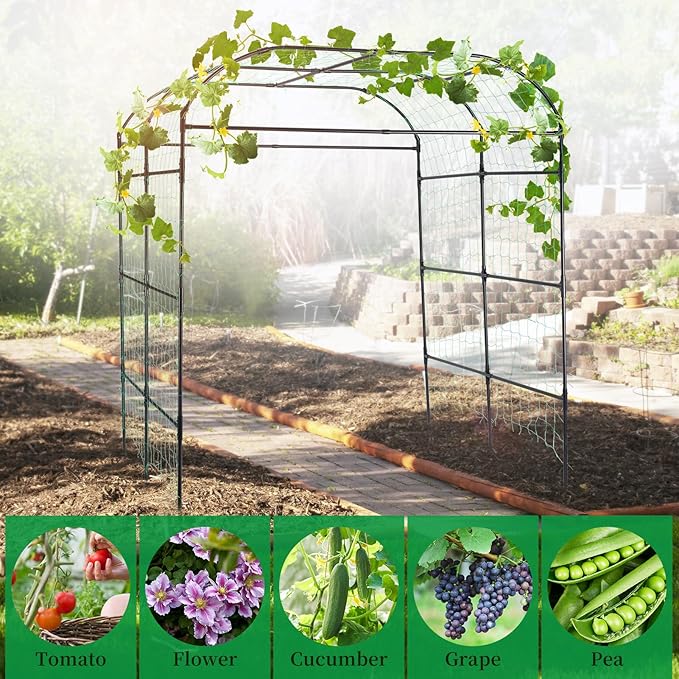 Garden Arch Trellis for Climbing Plants Outdoor Cucumber Trellis for Raised Bed Grape Vine Tomato Bean Tall Vegetable U Frame Plant Support Black