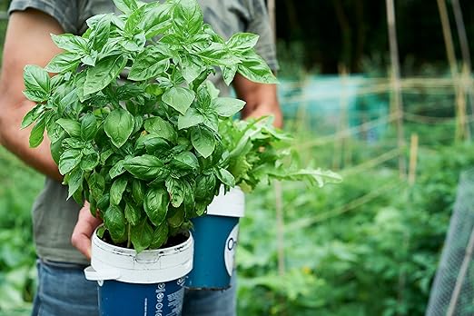 Organic Growing Fertilizer 32 oz CDFA Organic Registered. Plant Care Fertilizer for Vegetable Gardens Like Tomato Cucumber Squash Beans and All Other Plants