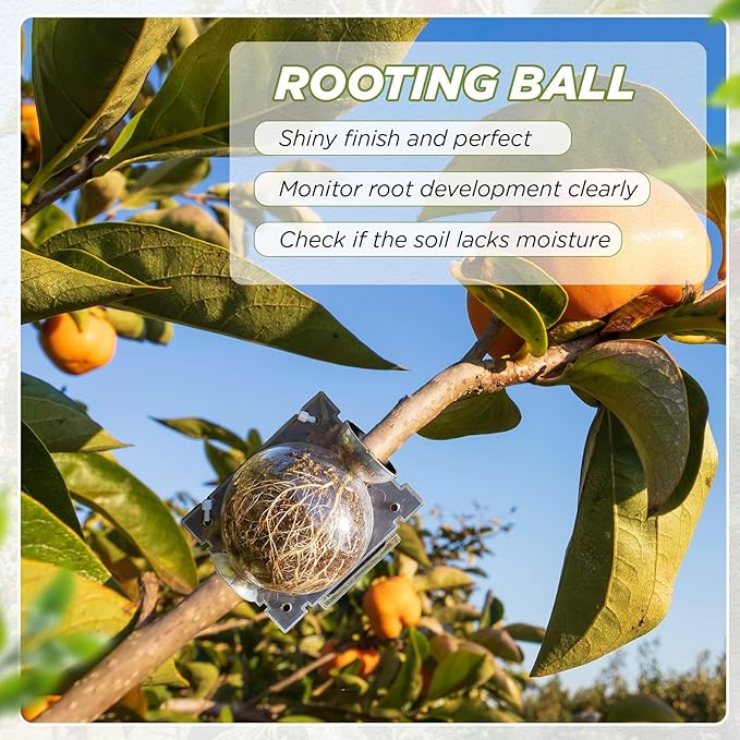 50 Pcs Air Layering Propagation Kit with Zip Ties Tree Grafting Kit Medium Reusable Half Black Half Transparent Grafting Ball Plant Rooting Graft Box for Fruit Graft Fast Propagation Plants