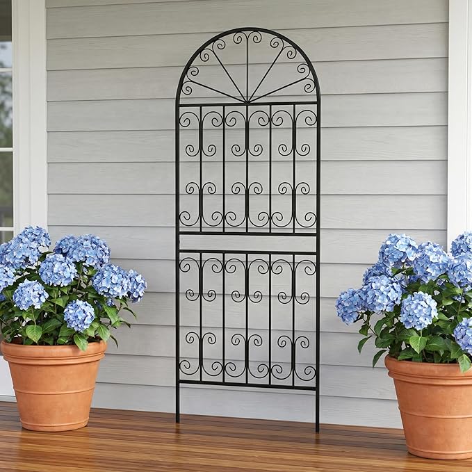 SCENDOR 70.8 H x 24.5 W Decorative Metal Garden Trellis - Rustproof Black Iron Arched Fence for Climbing Roses Clematis and Vines - Sturdy Plant Support for Patio Lawn and Backyard 1 Pack