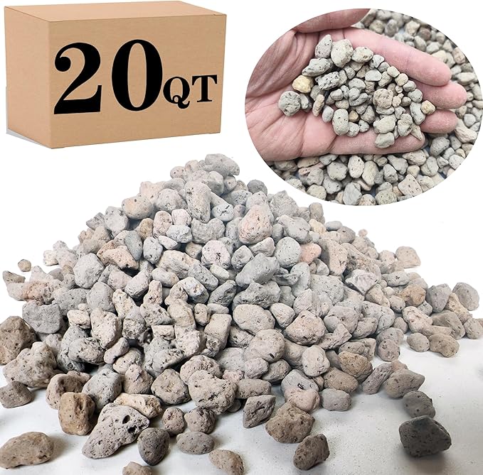 Garden Pumice Rock Horticultural Cactus Bonsai Succulent Soil Additive for Plants Landscaping Vase Fillers (3/8 inch 20 QT)