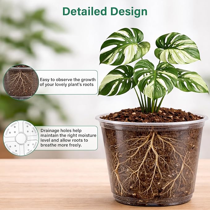 20 Pack 8/6/5/4/3.5 Inch Reinforced Large Clear Nursery Pots with Drainage Hole Transparent Variety Pack Plastic Plant Pot for Vegetable Propagation Root Cutting Seed Starting