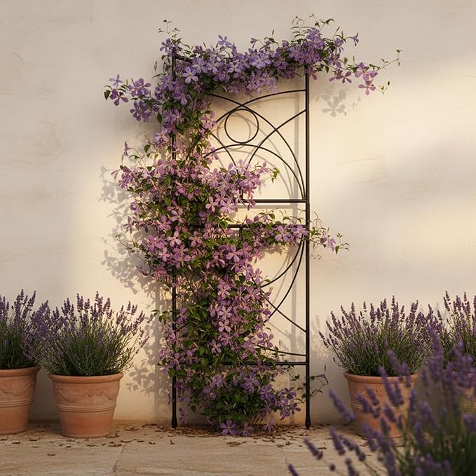 Fan Wrought Iron Garden Trellis 56 H x 38 W Climbing Plant Support for Roses Clematis Mandevilla Graphite Powder Coated