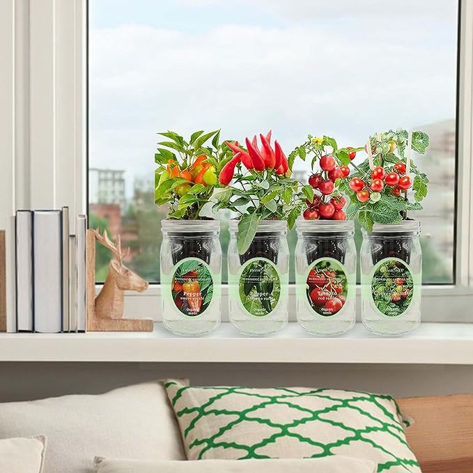 Hydroponic Herb Growing Kit Set Self-Watering Mason Jar Herb Garden Starter Kit Indoor Grow 4 Kinds of Herbs from Seeds (2 Tomato &amp 2 Pepper)