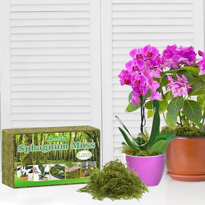 ZeeDix 2-Pack Premium Sphagnum Moss - 2.2 lb Orchid Moss Plant Growing Medium for Terrariums Orchids Carnivorous Succulents &amp Reptile Habitat Substrate