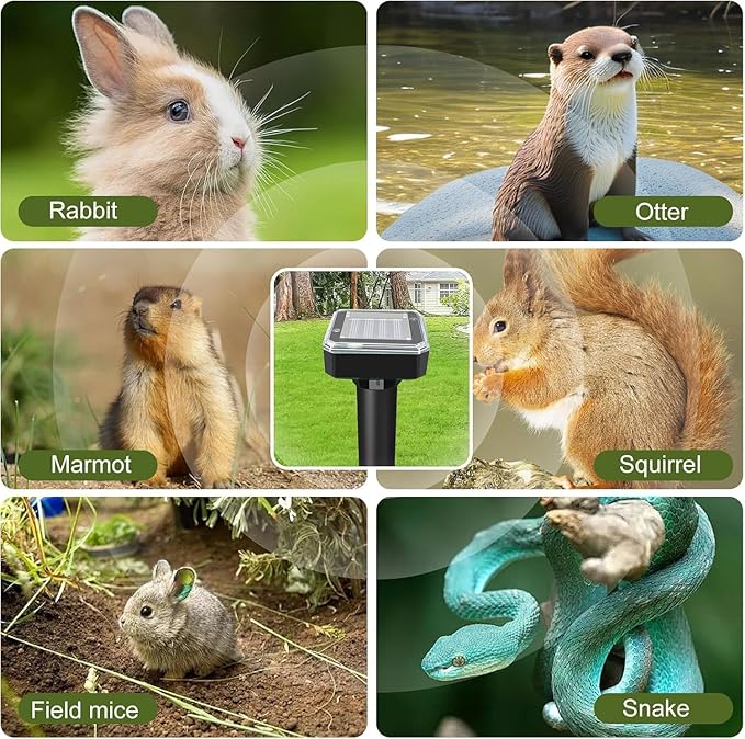 8 Pack Ultrasonic Mole RepellentSolar Powered Gopher Mole Repellent Stakes for ChipmunksSnakeGophersVolesWaterproof Sonic Moles Deterrent for Home GardenYard(8 Pack)