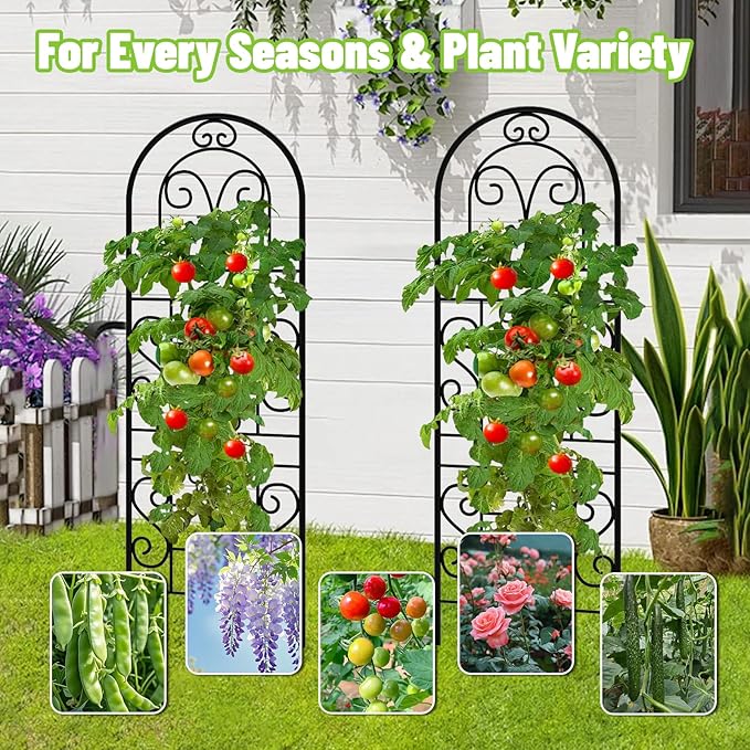Garden Trellis for Climbing Plants 3 Pack 38 Wx 64.6 H Rustproof Flower Trellis with Black Coating Outdoor Climbing Rose Trellis Cucumbers Support for Courtyards Lawns (Curved Shape 3 Pieces)