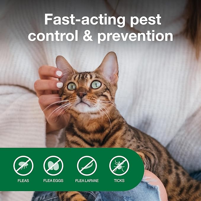 Advantage Household Fogger | Kills Fleas &amp Ticks | Flea Fogger for Home | 2 oz. Canisters (Pack of 3)