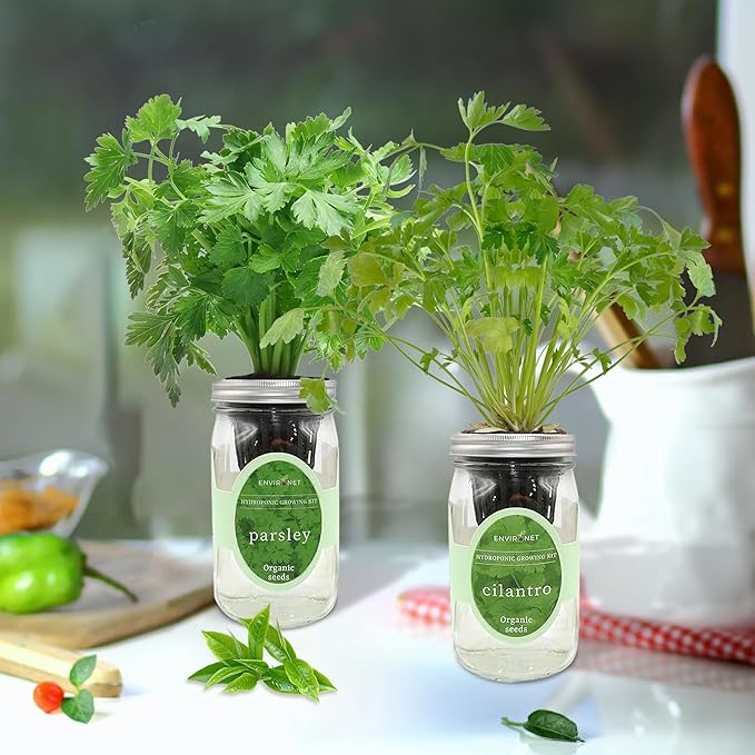 2-Pack Hydroponic Mason Jar Herb Garden Kit Indoor Herb Garden Self-Watering Starter Kit (ParsleyCilantro)