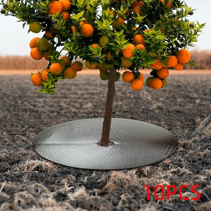 10 Pieces Tree Mulch Rings for Weed Control Fruit Tree Protector Thickened Plant Cover Growth Resistant Weed Barrier Fabric Argent