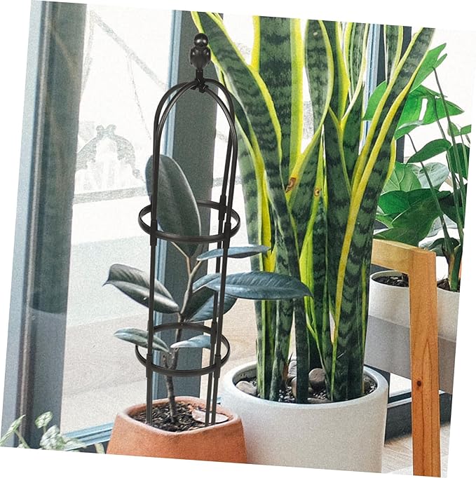 Sturdy Garden Trellis for Climbing Plants Outdoor Indoor Smooth Polished Plant Support Rack for Potted Vines Weather-Resistant Climbing Vine Frame Height