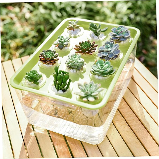 Hydroponic Planter Box 12-Hole Transparent Aquaponics Growing System with Green Lid for Home Balcony or Desktop Decor