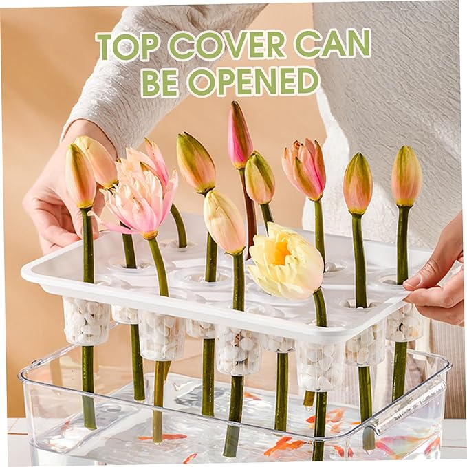 Hydroponic Planter Box 12-Hole Transparent Aquaponics Growing System with Green Lid for Home Balcony or Desktop Decor