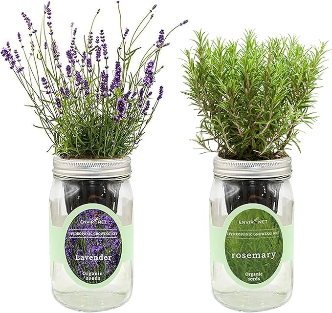 2-Pack Hydroponic Mason Jar Herb Garden Kit Indoor Herb Garden Self-Watering Starter Kit New Christmas Gift for Mom (LavenderRosemary)