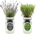 2-Pack Hydroponic Mason Jar Herb Garden Kit Indoor Herb Garden Self-Watering Starter Kit New Christmas Gift for Mom (LavenderRosemary)