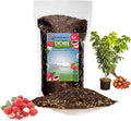 GARDENERA Premium Lychee Potting Soil Mix - Perfect Balance of Nutrients Drainage and Aeration for Thriving Lychee Trees - 5 Quart