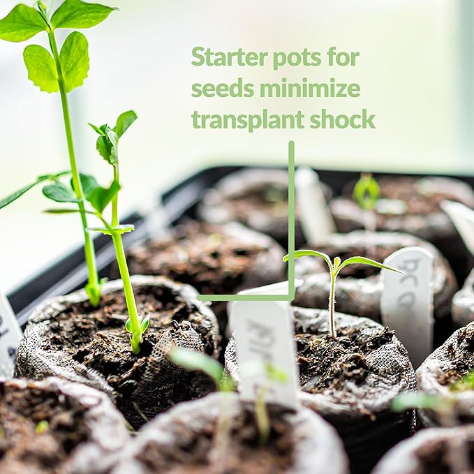 Jiffy Plant Germination Kit - Greenhouse Starter Kit Lightweight GMO Free - 72 Cell 2 Pack - Peat/Plastic