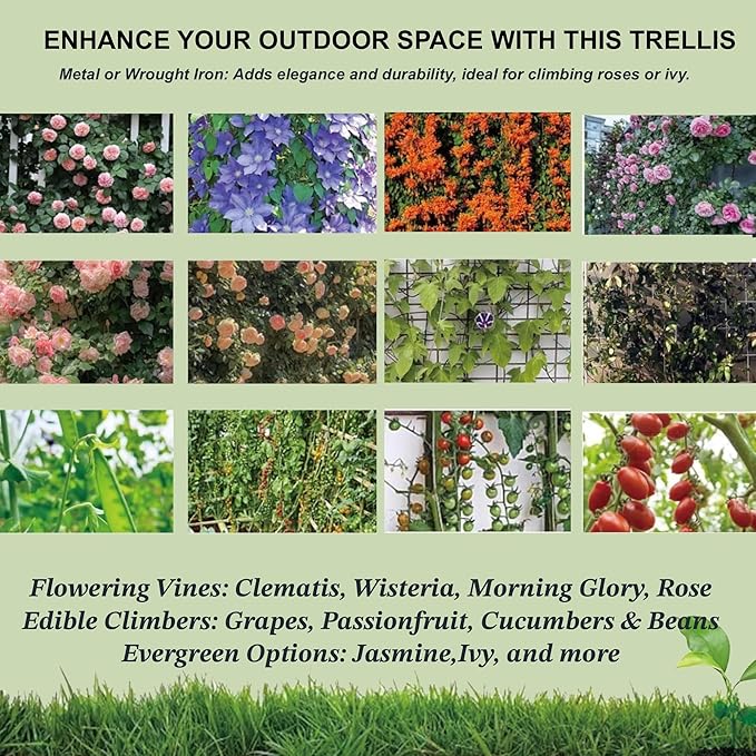 2 Pack 86.7 H Metal Garden Tall Trellis for Climbing Plants OutdoorLarge Heavy-Duty Outdoor Flower Plant 6-8 ft Support for Roses VinesRustproof Galvanized Powder-Coated Frame with Bird Decor