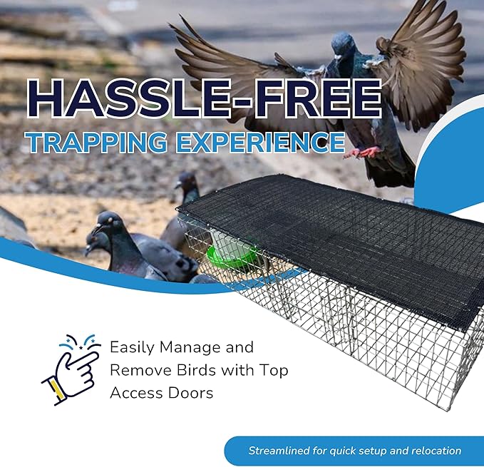 Bird Barrier Humane &amp Durable Pigeon Trap | Secures Up to 12 Pigeons | 3 One-Way Doors with Guards | Easy Transport &amp Setup | 35x16x8 with Center Access | Lightweight 10 lbs Bird Management