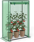 Giantex Portable Mini Greenhouse Heavy Duty PE Cover Elector-Coating Metal Frame Waterproof Sun-Protective Tomato Green House with Roll-Up Zippered Door Indoor Outdoor Green 39 x 20 x 59