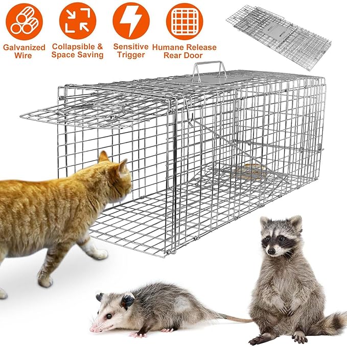 Large Live Animal Cage Trap 30.5x11.8x11Inches Humane Cat Trap for Stray Cats Heavy Duty Foldable Raccoon Traps Humane Catch &amp Release Live Traps for Gopher Opossum Skunk