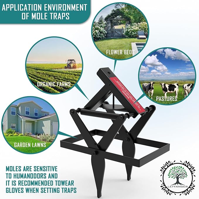 Mole Traps Black Galvanized Steel Scissor Trap Reusable Gopher Traps Mole Killer Ground Moles Trap for Lawns 2025 Style (4 Pack)