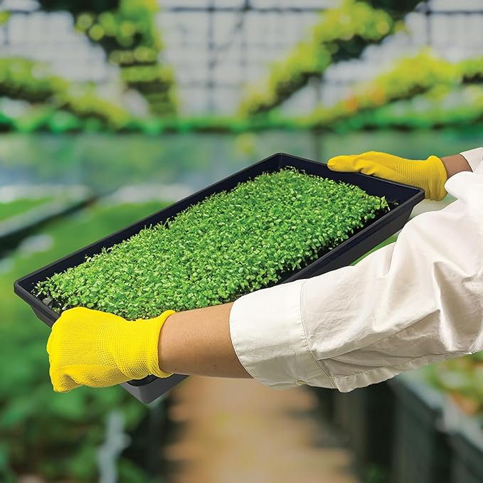 10 Plant Growing Trays (WITH Drain Holes) - 20 x 10 - Perfect Garden Seed Starter Grow Trays: For Seedlings Indoor Gardening Growing Microgreens Wheatgrass &amp More - Soil or Hydroponic
