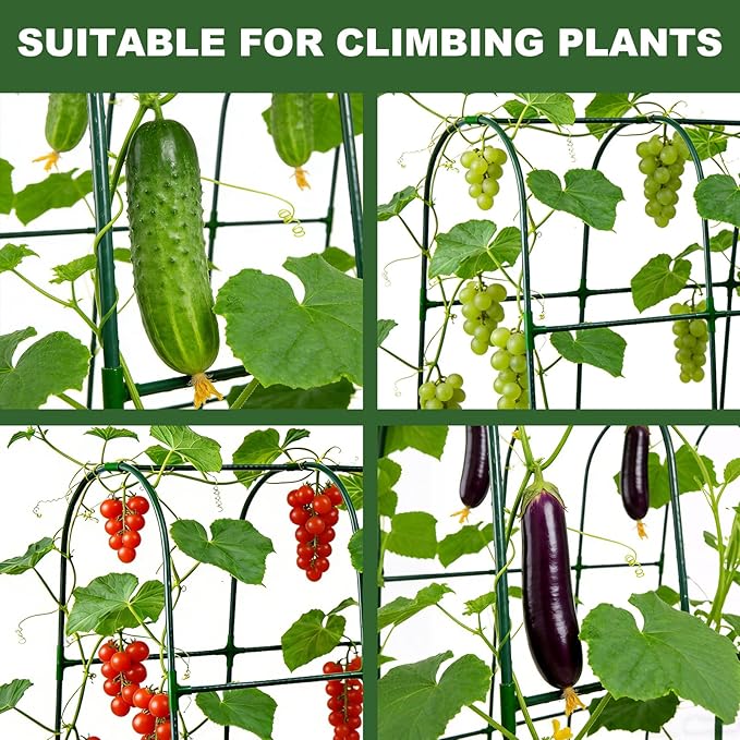 U-Shape Cucumber Trellis for Raised Beds - 47.2”x47.2”x21.6” Green Metal Arch Trellis Rust-Resistant Garden Plant Support for Climbing Vegetables Vines Flowers - Heavy Duty &amp Easy to Assemble