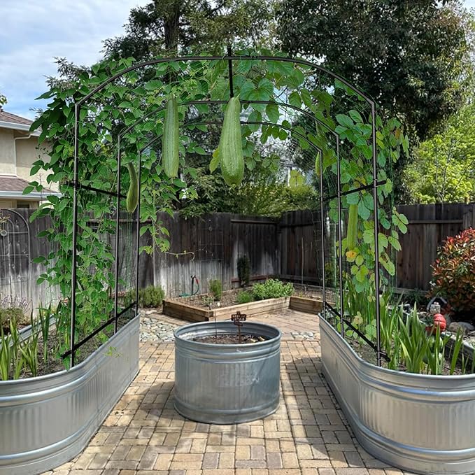 DoCred Large Garden Arch Trellis for Climbing Plants 87'' H x 75'' L x 71'' W Outdoor Grape Vine Trellis Arch Arbor Gazebo Grape Trellis for Climbing Plants Courtyard and Garden Decoration Black