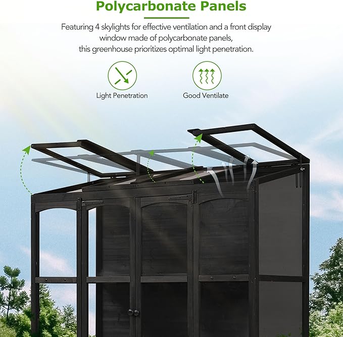 78inch Height Wood Large Greenhouse Cold Frame with 4 Independent Skylights and 2 Folding Middle Shelves Walk-in Outdoor Greenhouse for Backyard Mudroom (Black/78)