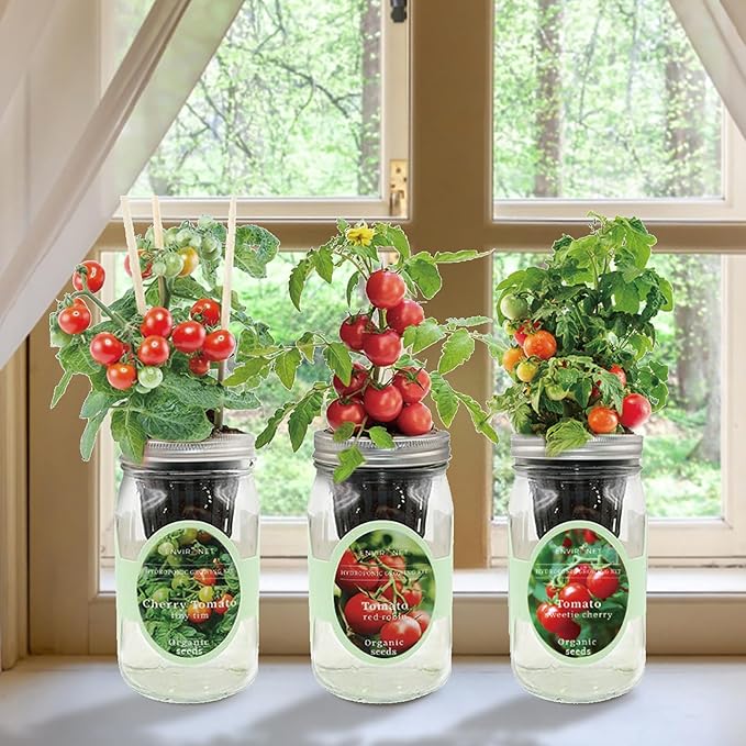Hydroponic Mason Jar Indoor Garden Organic Seed Starter Kits - Tomato Trio Garden Growing Kits Gardening Gift (Red Robin Tomato Cherry Tomato - Tiny Tim Sweetie Cherry Tomato)