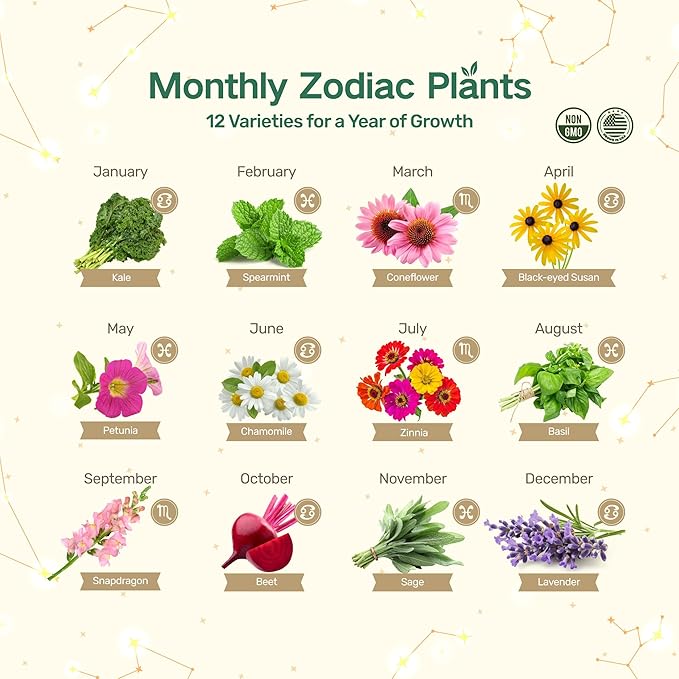 Lush&ampDew Zodiac Garden Seed Bank Gardening Gifts for Women Men 12 Varieties Non-GMO Vegetables Herb Seeds in Seed Organizer Magnetic Gift Box Witchcraft Supplies with Moon Calendar (Water Sign