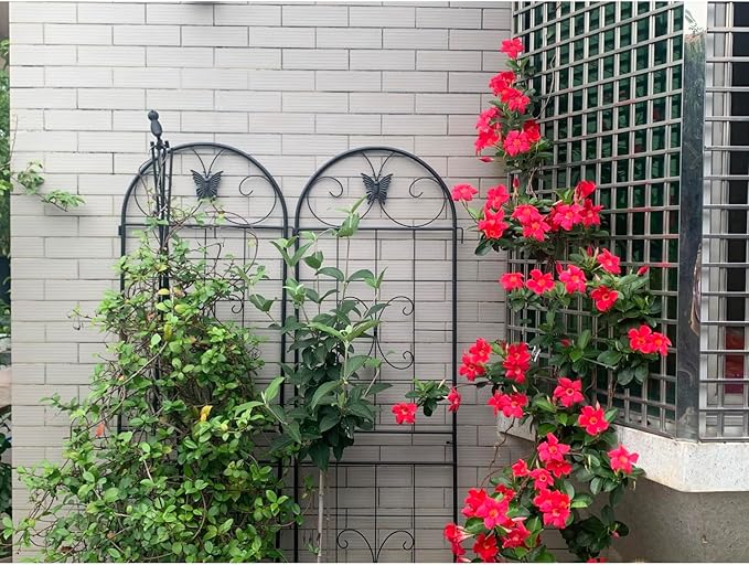 Metal Garden Trellis 2 Pack - Versatile Climbing Plant Support for Indoor/Outdoor Use