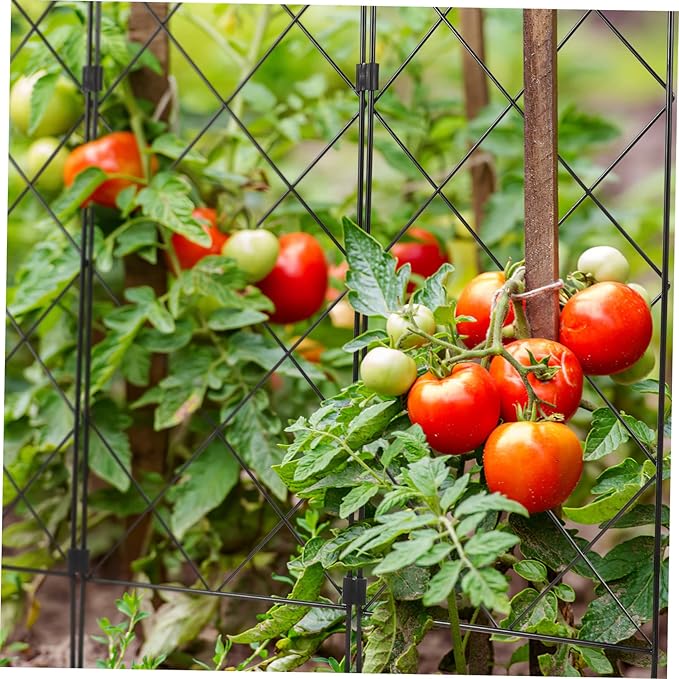 Outdoor Plant Support Stand Folding Garden Trellis for Climbing Plants Long-Lasting and Sturdy Construction