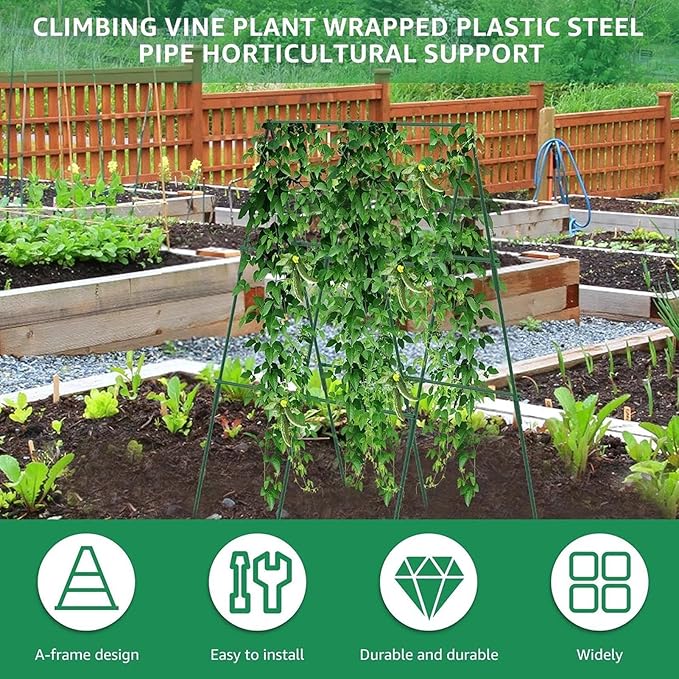 Garden Trellis for Climbing Plants | Climbing Plant Support Obelisk - Tomato Trellis - for Bean Flowers Fruits Grape Pea Squash Tomato Vegetables Vine
