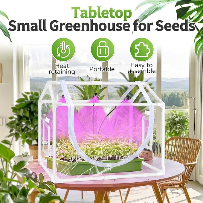 Indoor Mini Greenhouse with Grow Light Tabletop Small Greenhouse for Beginners All-in-One Tiny Plant Nursery Kit with Adjustable LED Light &amp Timer Smart Grow Tent for Herbs Gardening Gift