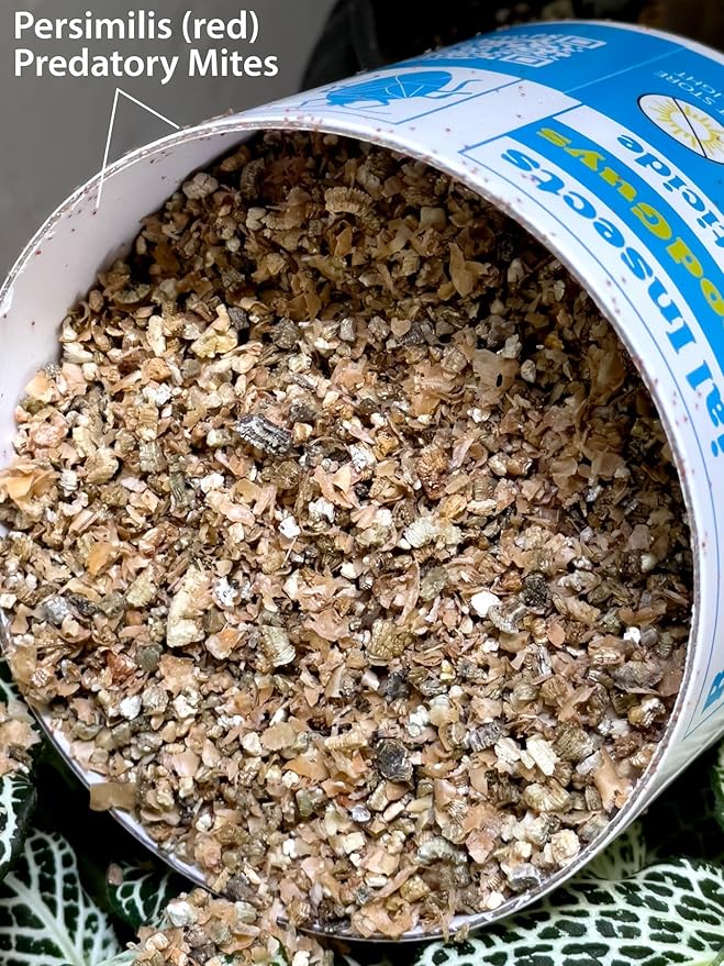 2000 Live Adult Predatory Mite Mix - Special Blend Mix - Triple Blend Mix
