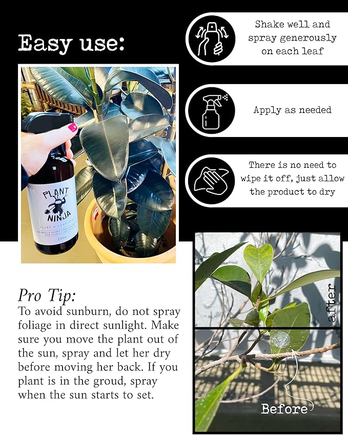 Premium Starter Bundle Includes: 16oz Spray Bottle 1oz Concentrate (Funnel Included) of Plant and Leaf Shine Soil Blend 6” Pot for Indoor Plants House Plants w/Potting Soil - Small