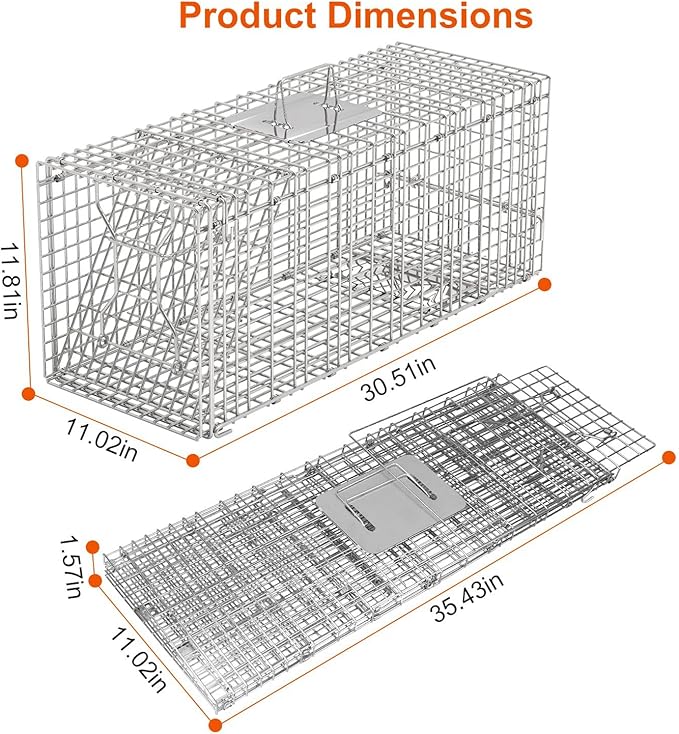 KOCASO Live Animal Trap Cage Large Foldable Galvanized Steel Humane Animal Cage Trap Heavy Duty Metal Cat Trap Cage for Stray Cat Raccoon Groundhog Squirrel Chipmunk Mole Gopher Skunk 31x11x12