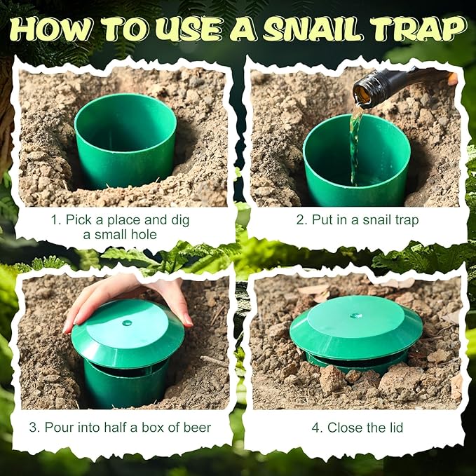 Qualirey 20 Pcs Beer Slug Snail Traps 3.86 x 4.41 Inch Plastic Snail Trapper Reusable Snails Catcher Slug House for Garden Farm