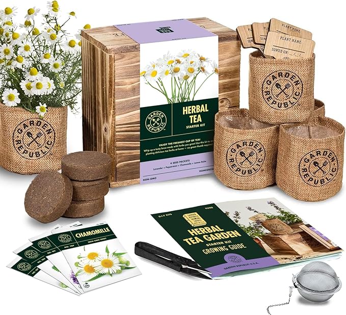 Indoor Herb Garden Seed Starter Kit - Herbal Tea Growing Kits Grow Medicinal Herbs Indoors Seeds for Planting Soil Plant Markers Pots Infuser Planter Box Gardening Gifts for Women