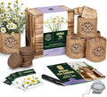 Indoor Herb Garden Seed Starter Kit - Herbal Tea Growing Kits Grow Medicinal Herbs Indoors Seeds for Planting Soil Plant Markers Pots Infuser Planter Box Gardening Gifts for Women