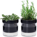 Phoenix Vine 4 Inch Self Watering Planter Pot Black Terracotta Clay Pot with Glass Reservoir for Indoor Plants Herbs Flowers Set of 2 52-C-E-2