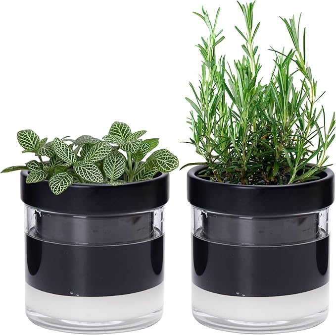 Phoenix Vine 4 Inch Self Watering Planter Pot Black Terracotta Clay Pot with Glass Reservoir for Indoor Plants Herbs Flowers Set of 2 52-C-E-2