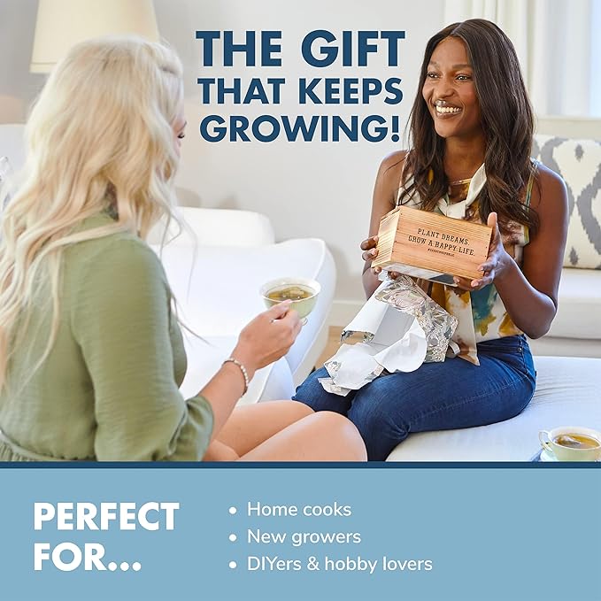 Indoor Herb Garden Starter Kit - Heirloom Non-GMO Herb Seeds - Basil Thyme Parsley Cilantro Seed Potting Soil Pots Scissors - DIY Grow Kits for Growing Herbs Indoors Kitchen Balcony Window Sill