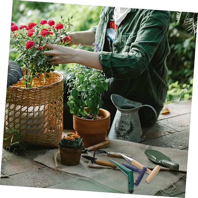 1set Garden Dibber Tool Ergonomic Hand Planter with Handle Soil Puncher for Easy Hole Digging for Planting Nurseries Gardens and Potted Plants
